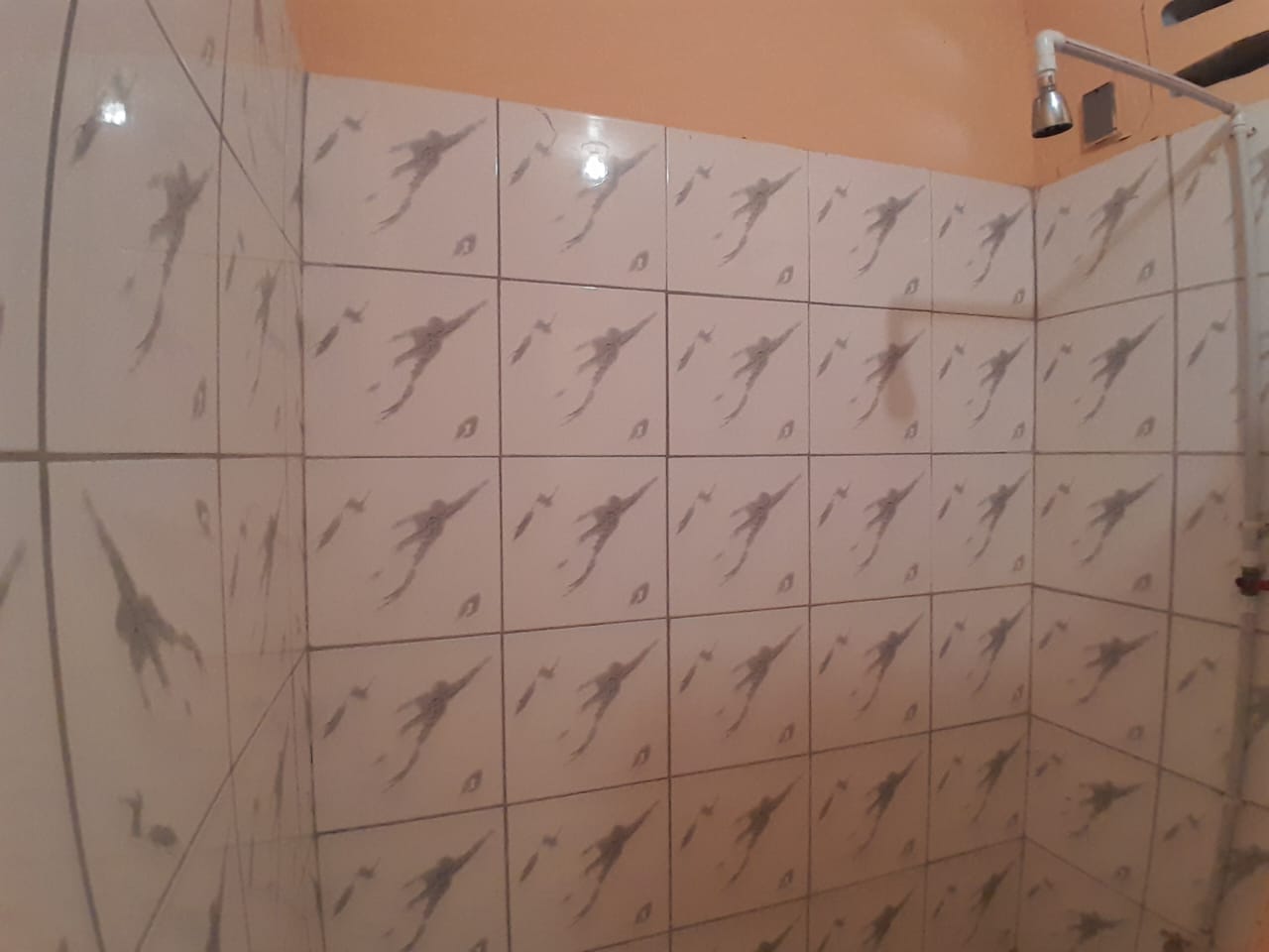 05289d486064f8b501c59e6fb1e9c9b1