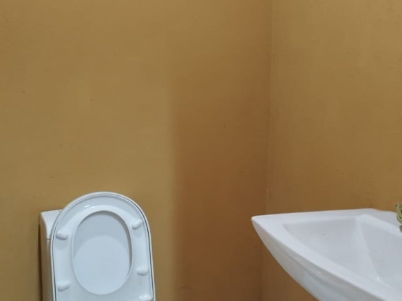 584
