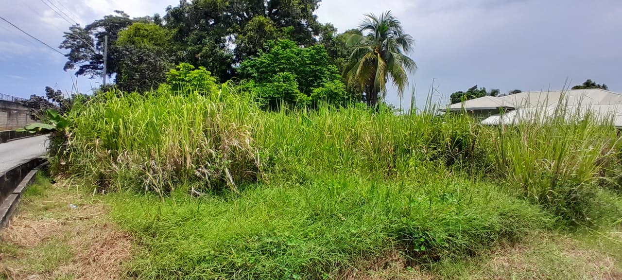 Land For Sale, Arouca 2