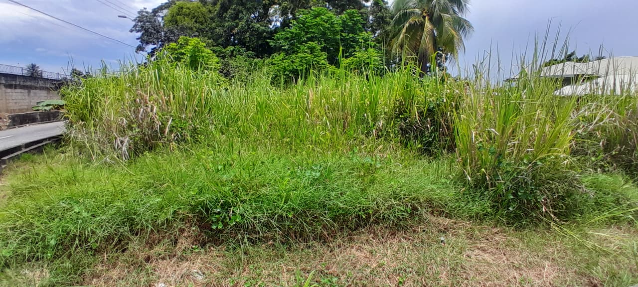 Land For Sale, Arouca 3