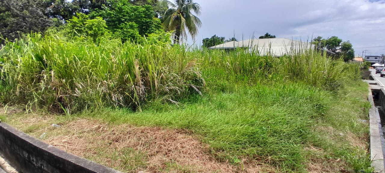 Land For Sale, Arouca 4