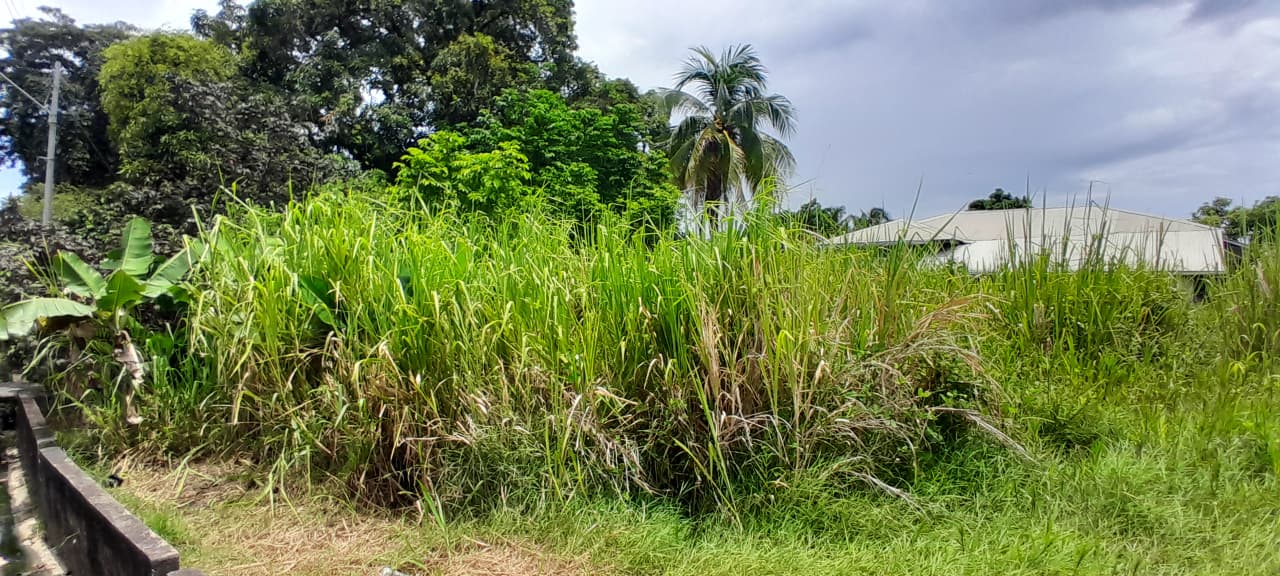 Land For Sale, Arouca 5