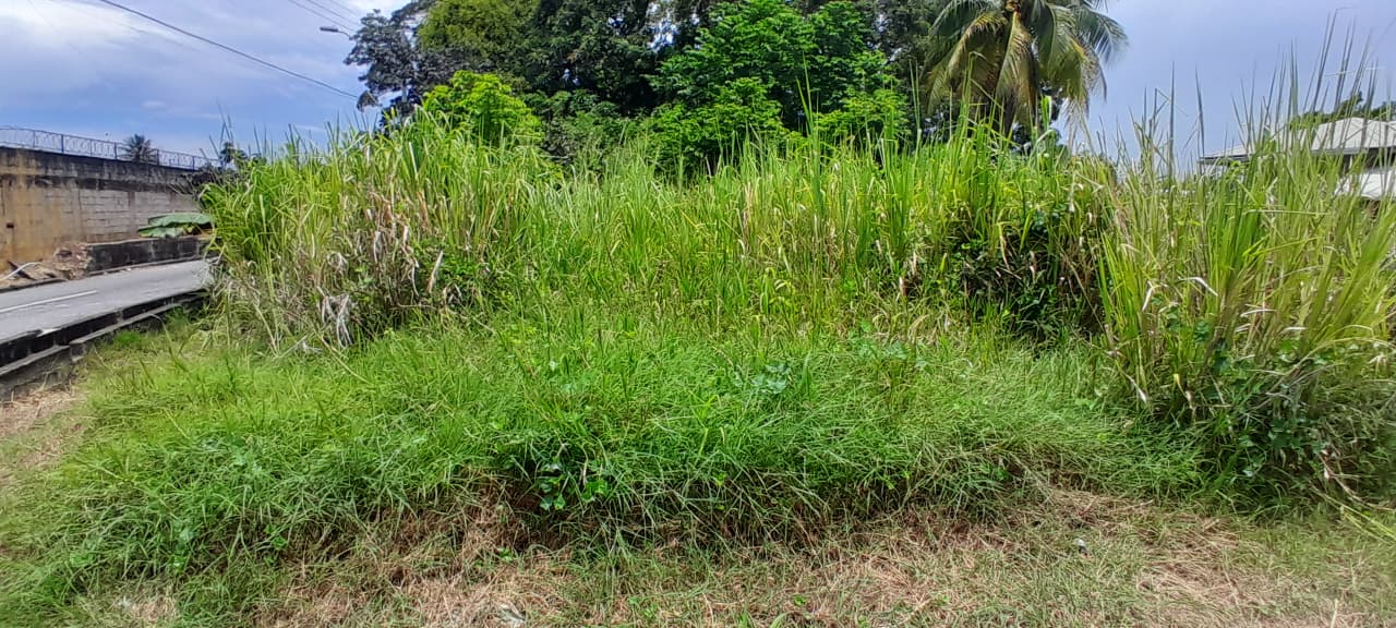 Land For Sale, Arouca 6