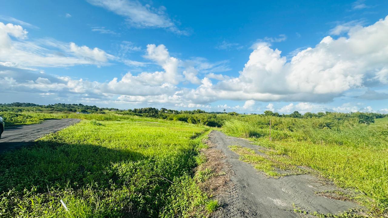 Land For Sale, Todds Road, Freeport 2