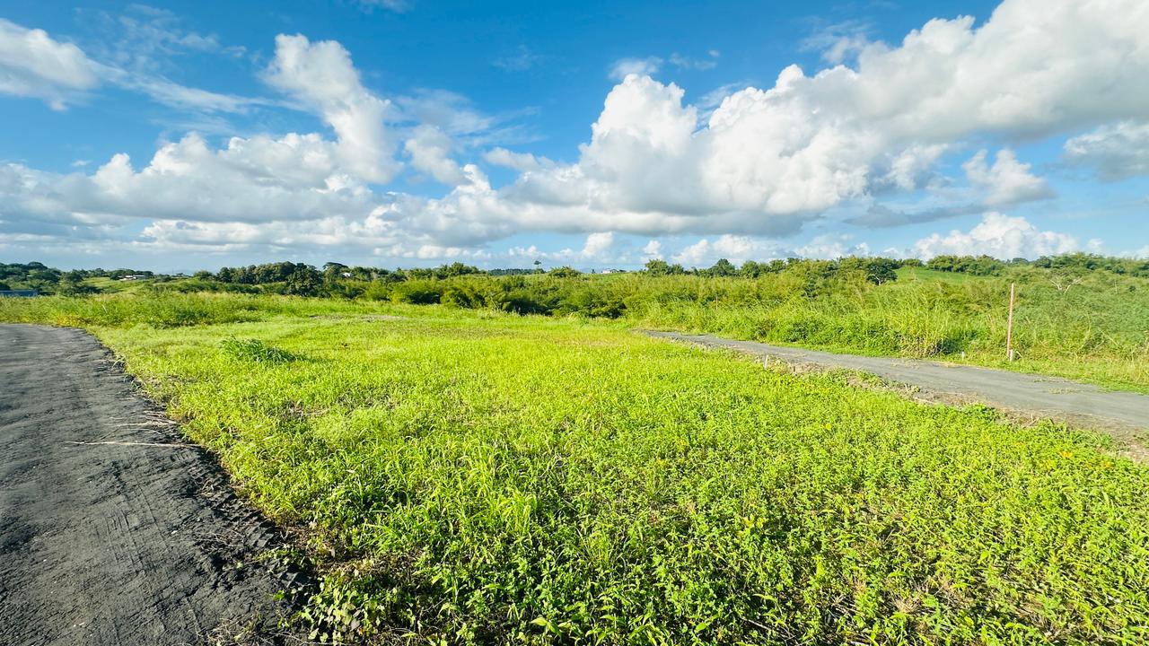 Land For Sale, Todds Road, Freeport 3