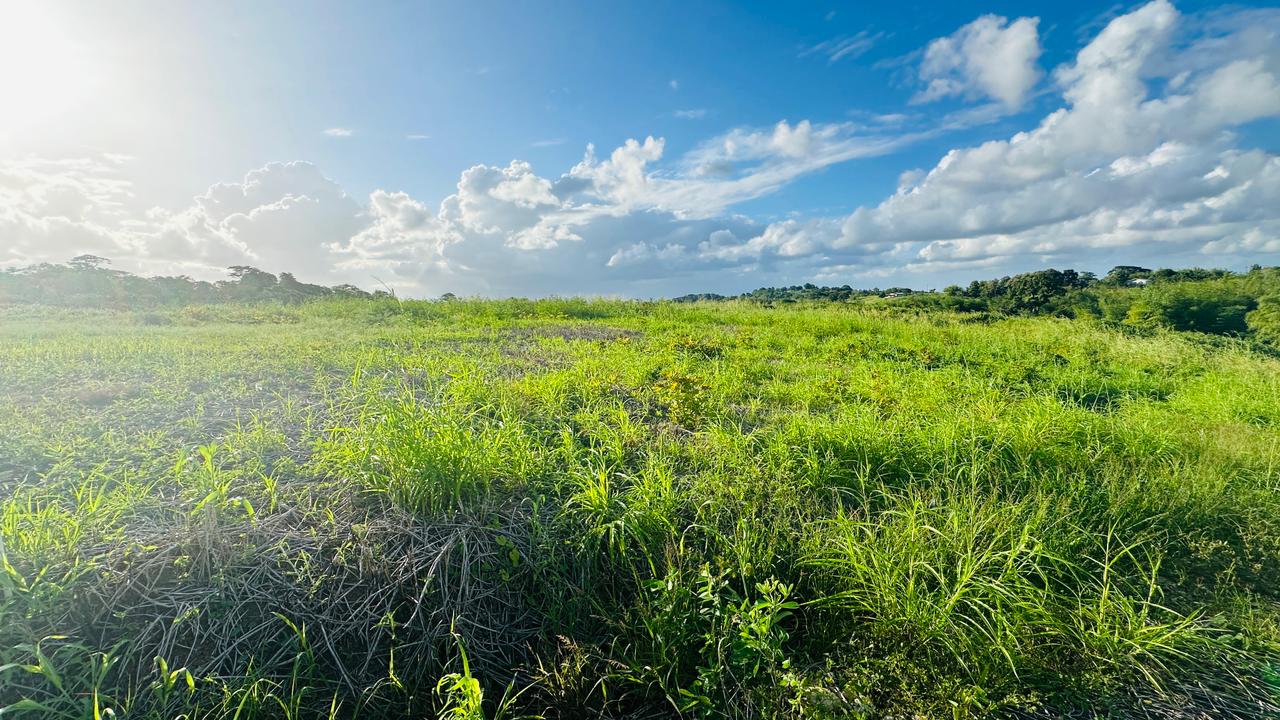 Land For Sale, Todds Road, Freeport 4