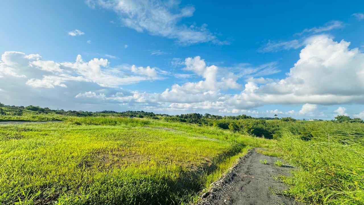 Land For Sale, Todds Road, Freeport 4