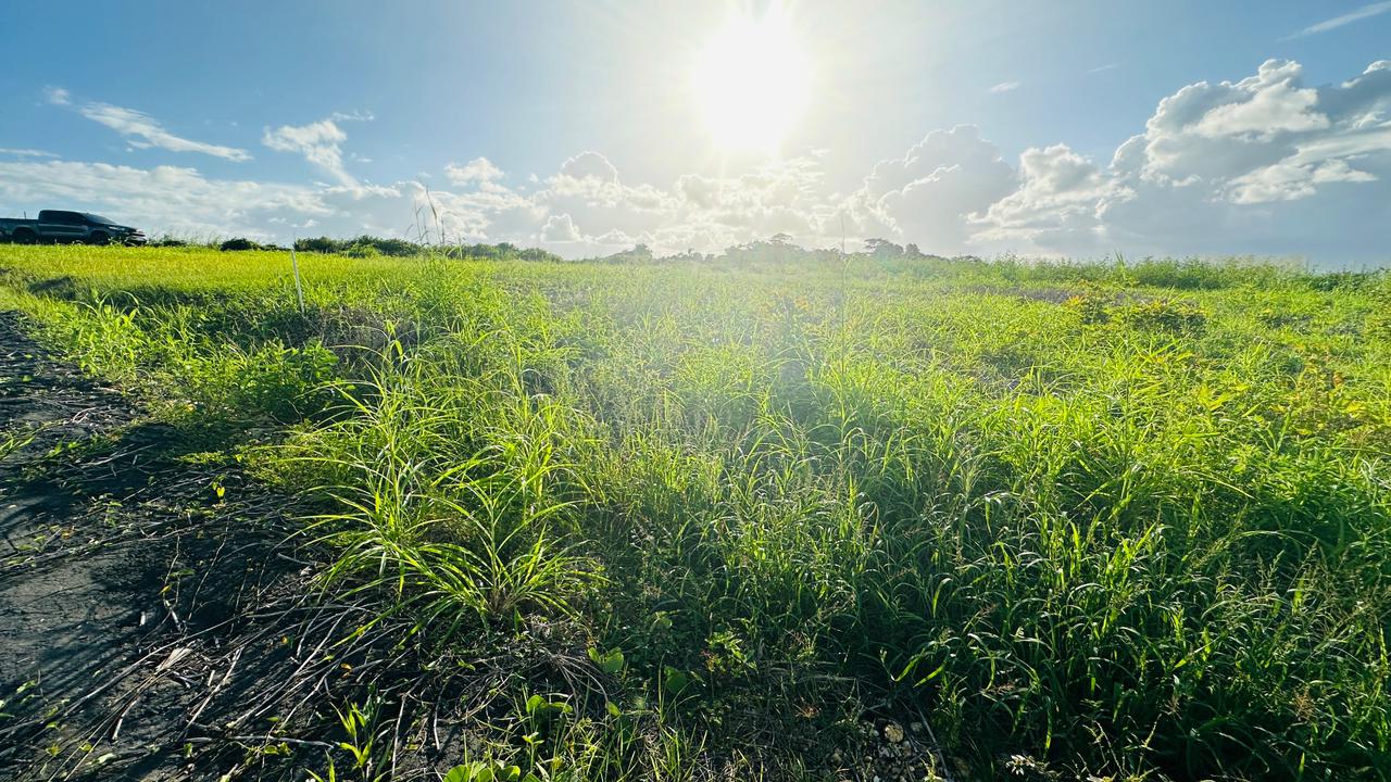 Land For Sale, Todds Road, Freeport 5