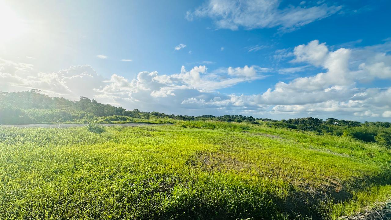 Land For Sale, Todds Road, Freeport 5