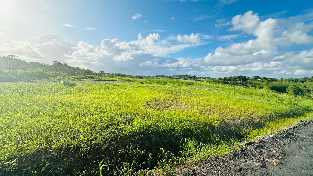 Land For Sale, Todds Road, Freeport 6