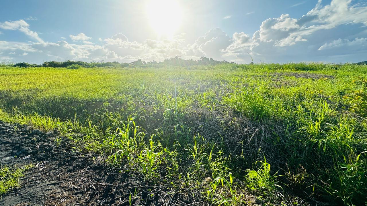 Land For Sale, Todds Road, Freeport 6