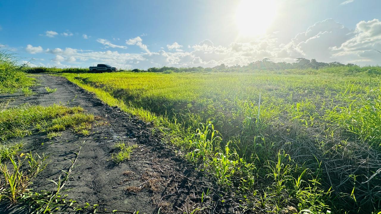 Land For Sale, Todds Road, Freeport 7