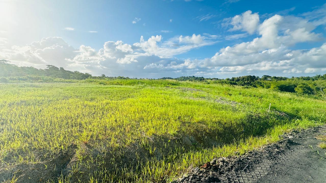 Land For Sale, Todds Road, Freeport 8