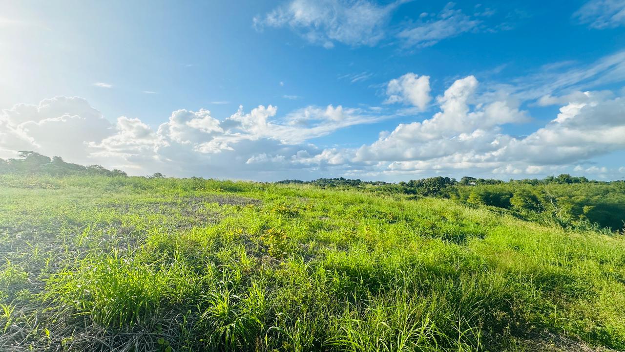 Land For Sale, Todds Road, Freeport 9