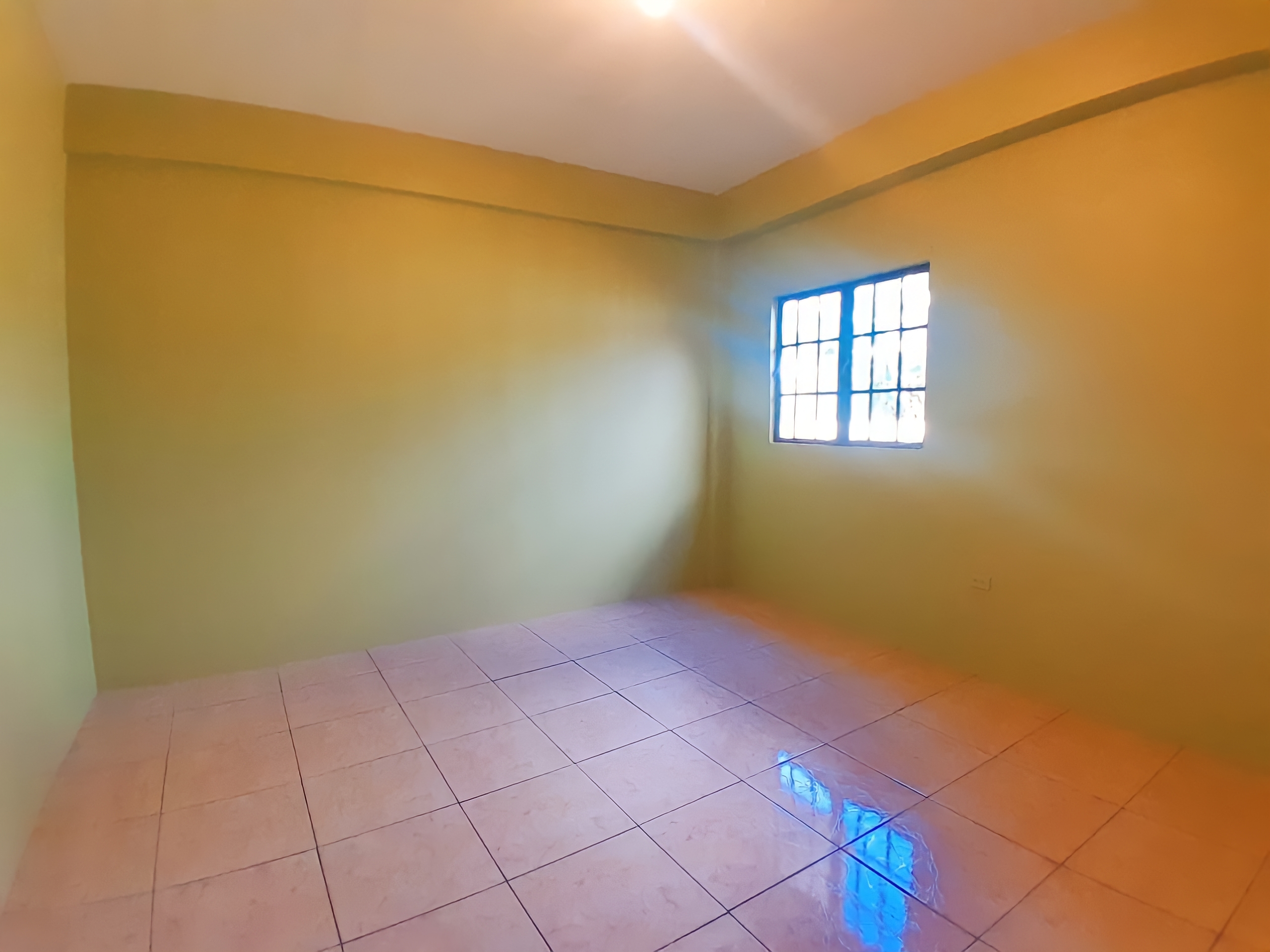 WhatsApp Image 2025-11-18 at 12.42.26 PM.remini-enhanced