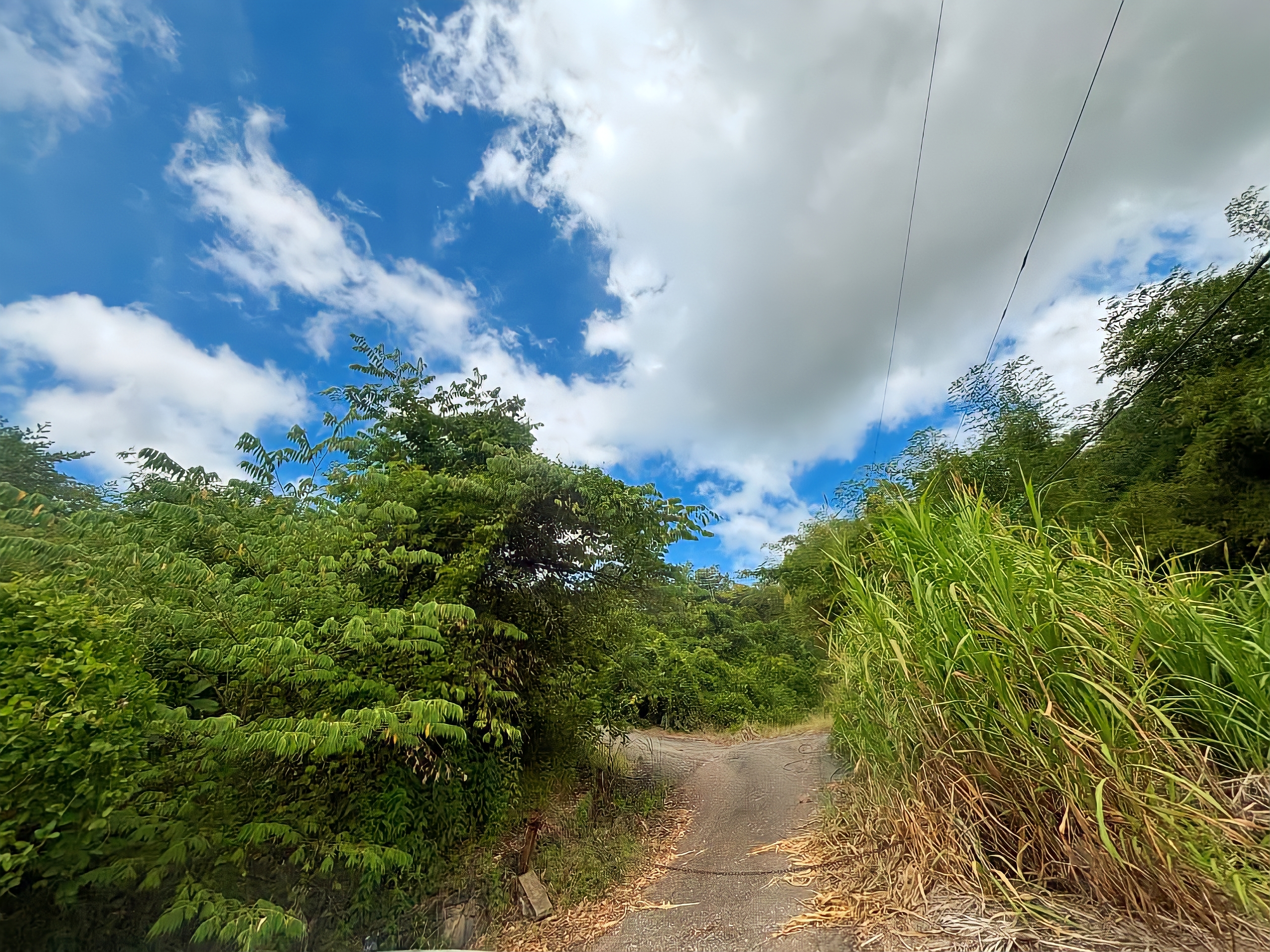 Land For Sale in , Arouca 11