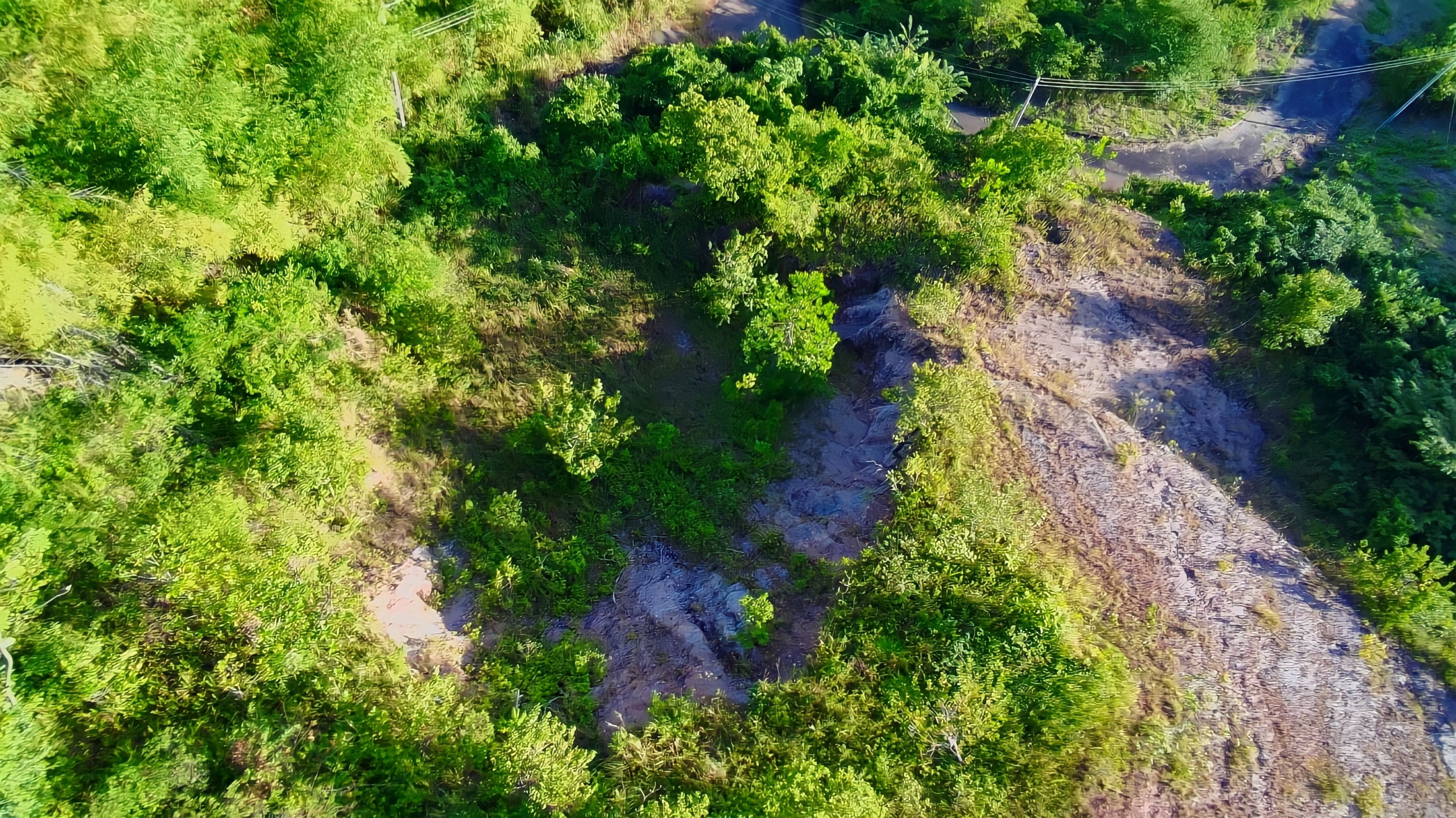 Land For Sale in , Arouca 3