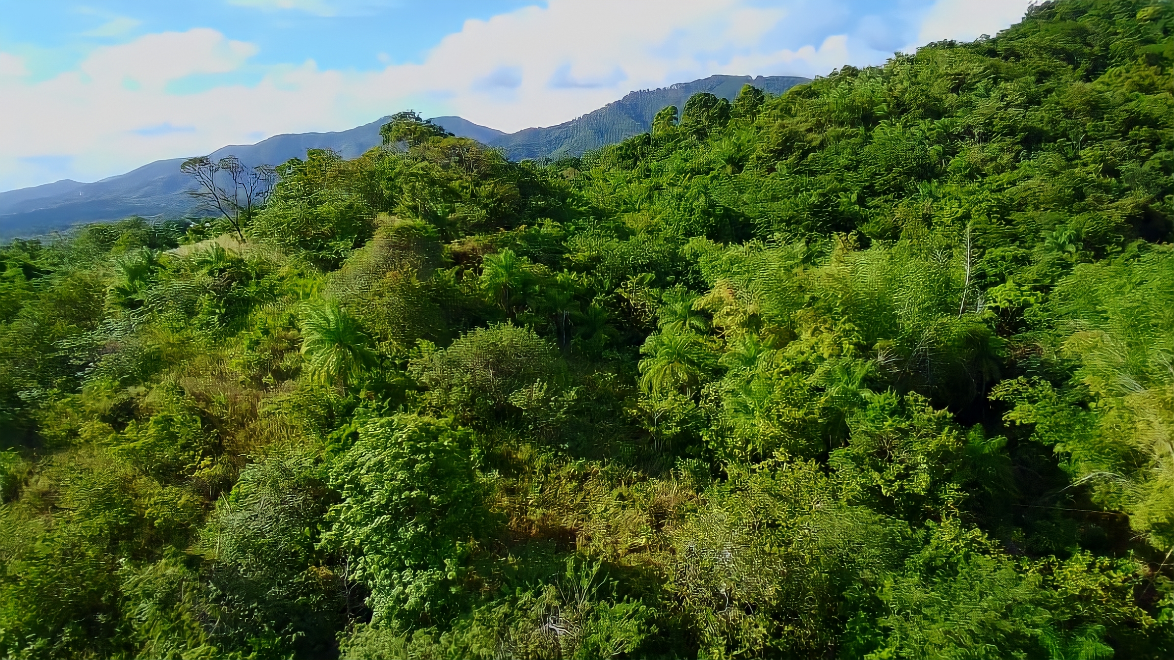 Land For Sale in , Arouca 4