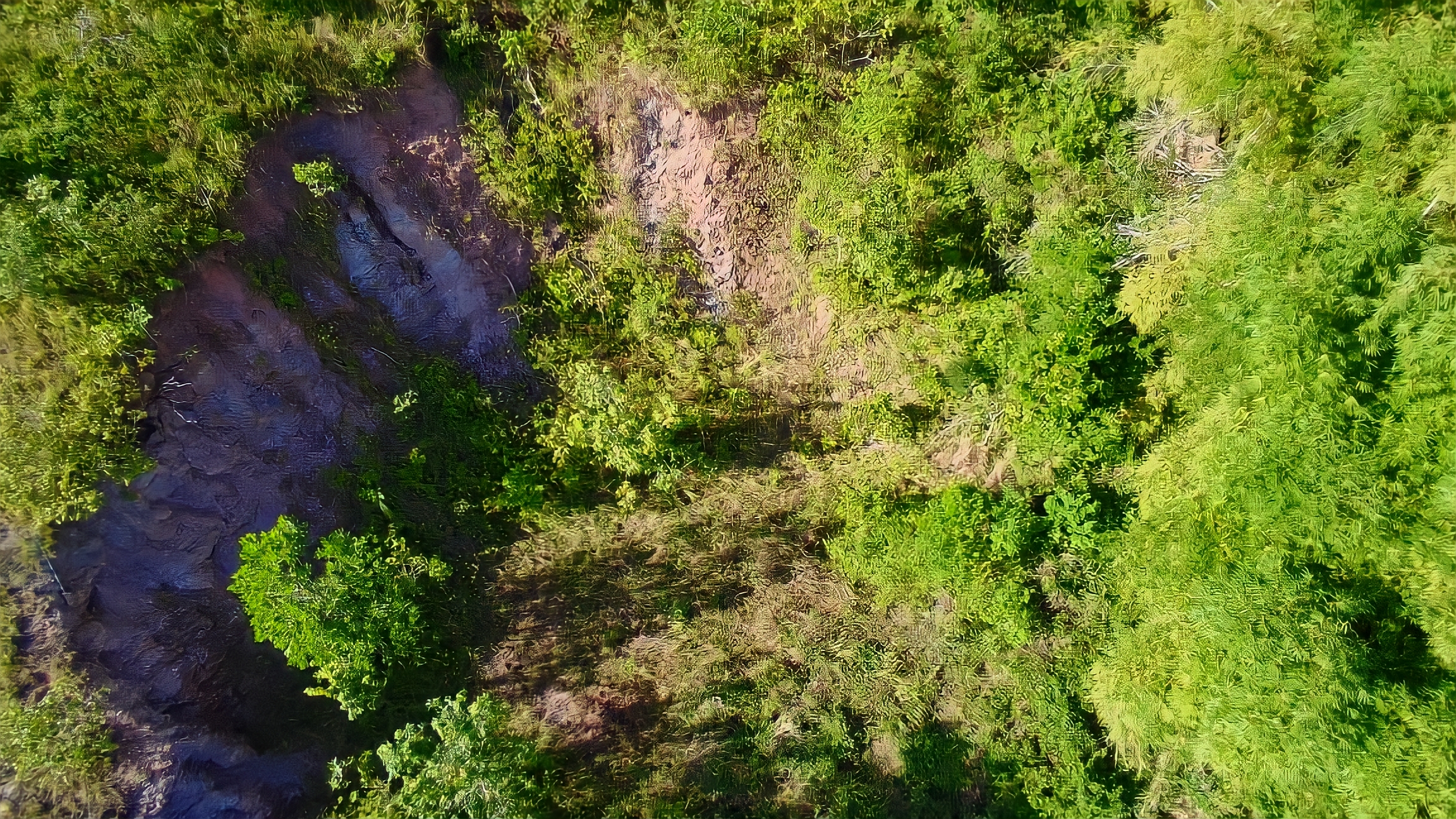 Land For Sale in , Arouca 7