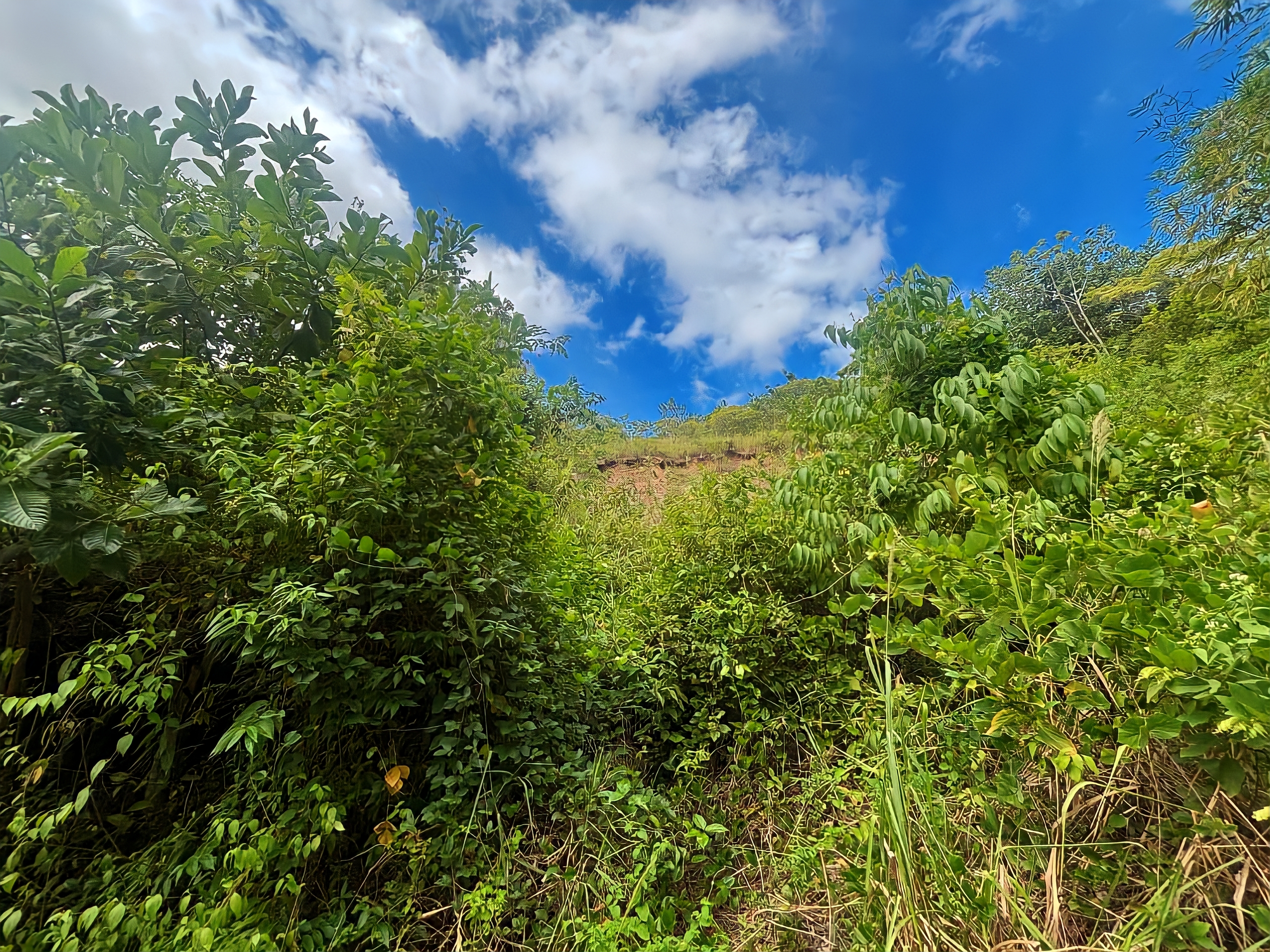 Land For Sale in , Arouca 8