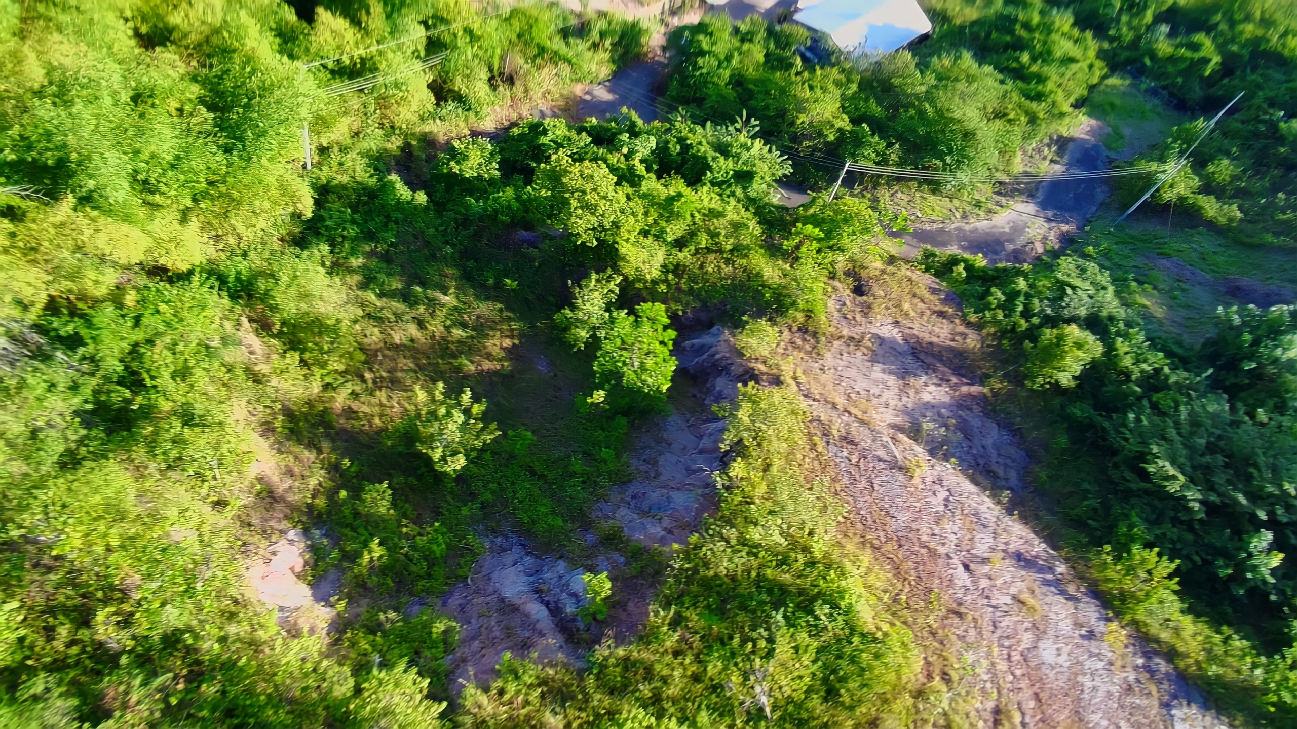 Land For Sale in , Arouca 9