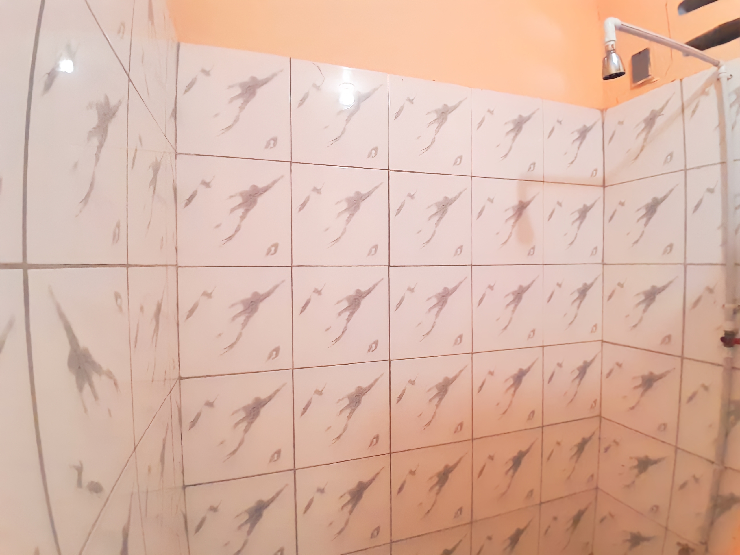 1 Bedroom Apartment, St Helena 7