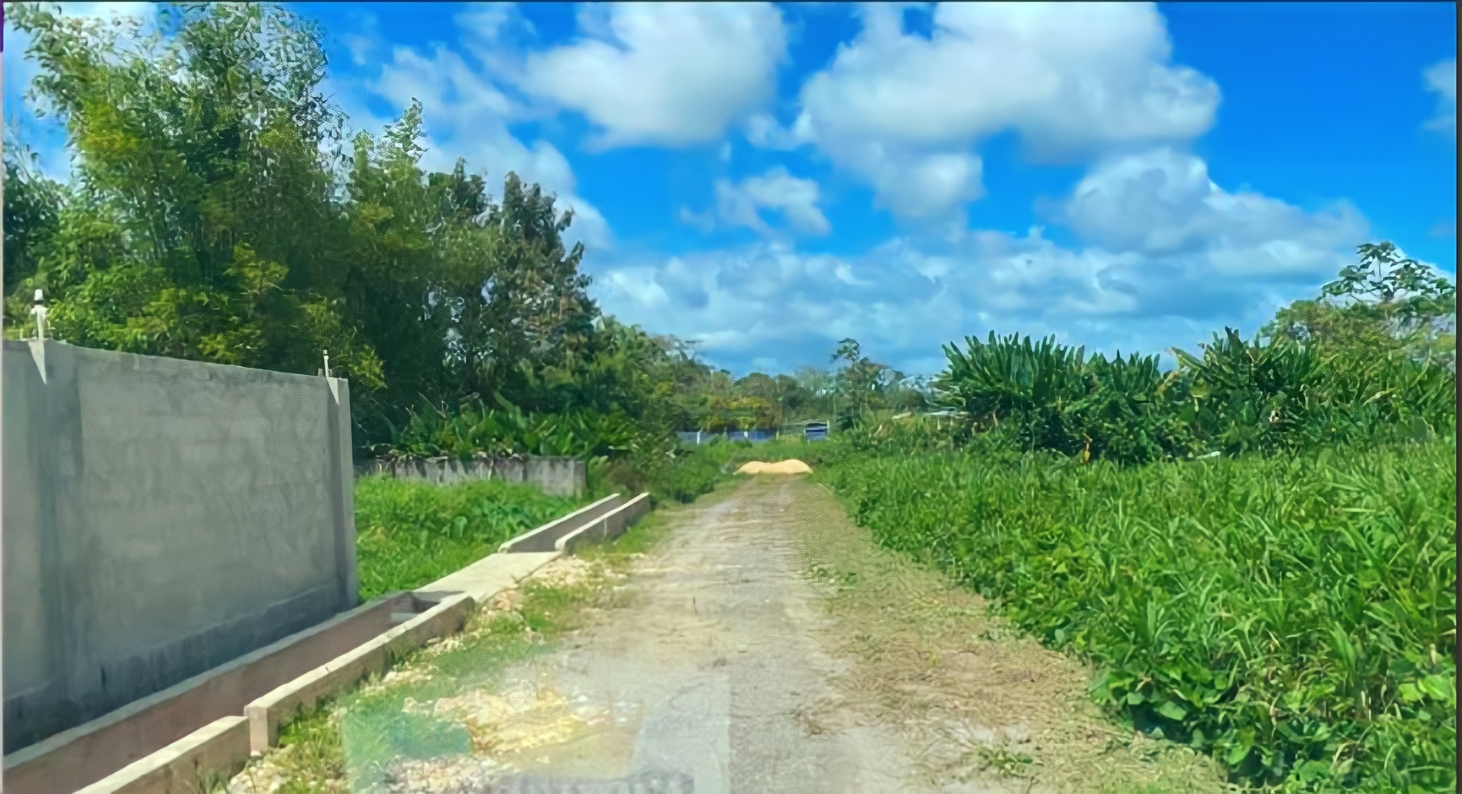 Land For Sale, El Reposo Road, Sangre Grande 4