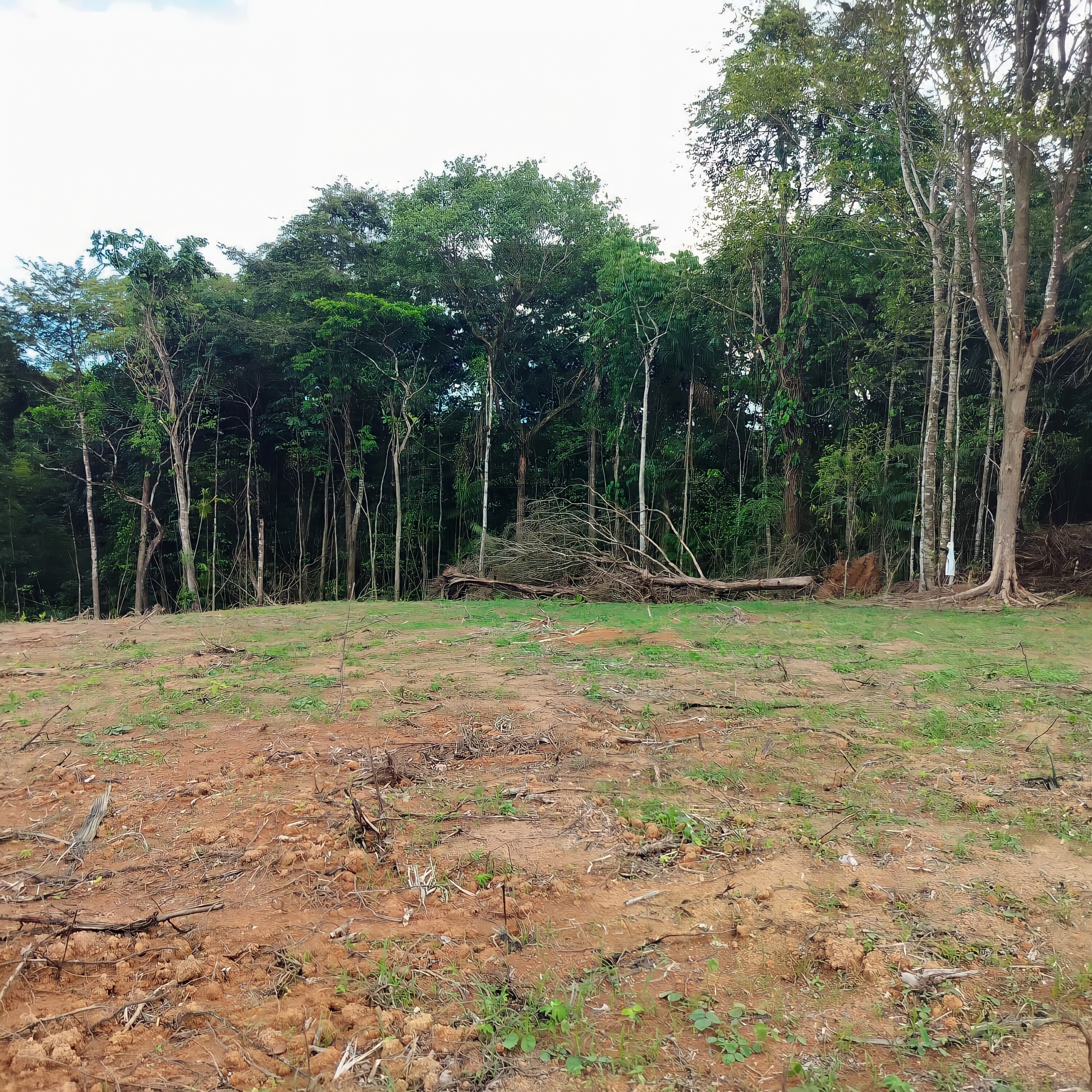 Land For Sale, Guaico Tamana Road, Sangre Grande 2