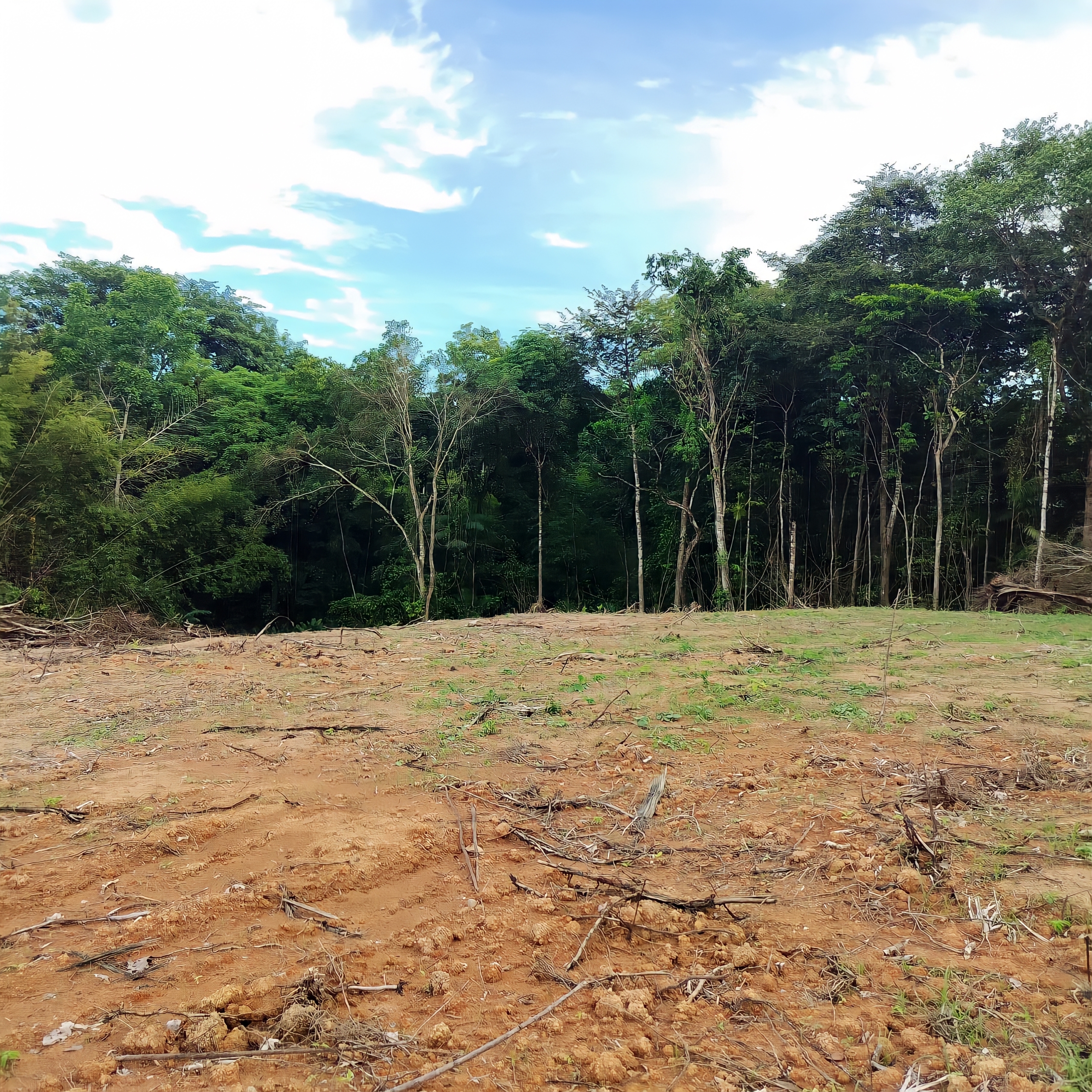 Land For Sale, Guaico Tamana Road, Sangre Grande 3