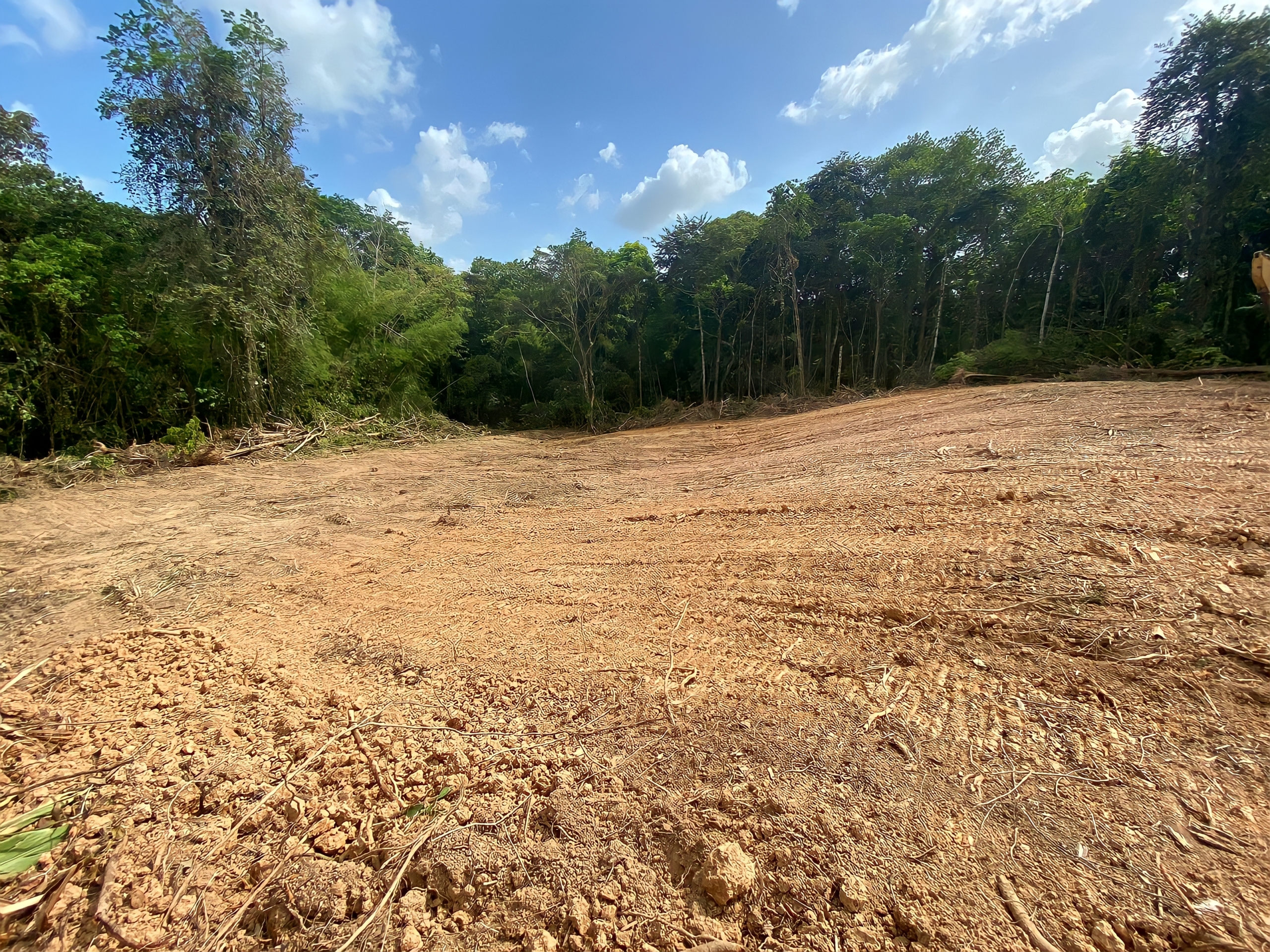 Land For Sale, Guaico Tamana Road, Sangre Grande 4