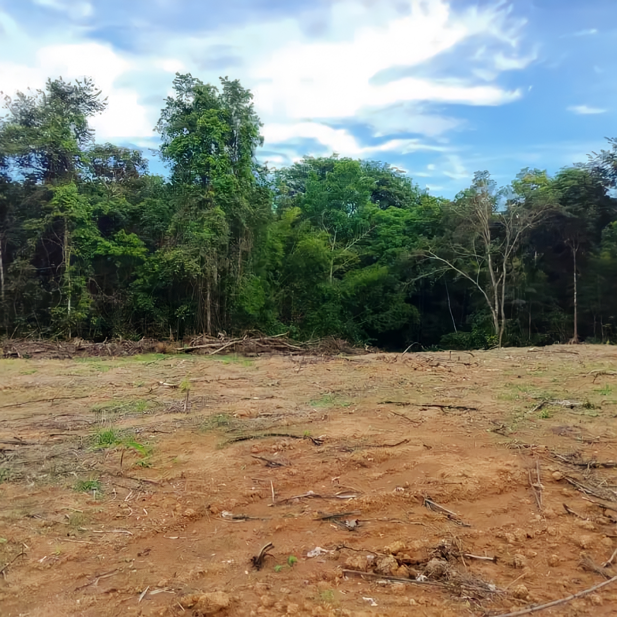 Land For Sale, Guaico Tamana Road, Sangre Grande 5