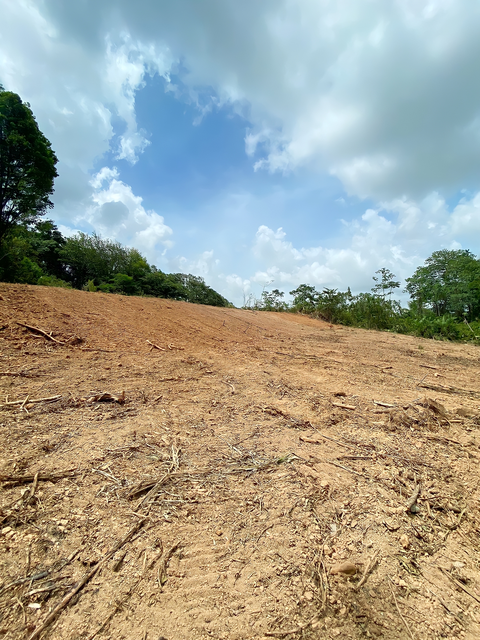Land For Sale, Guaico Tamana Road, Sangre Grande 6