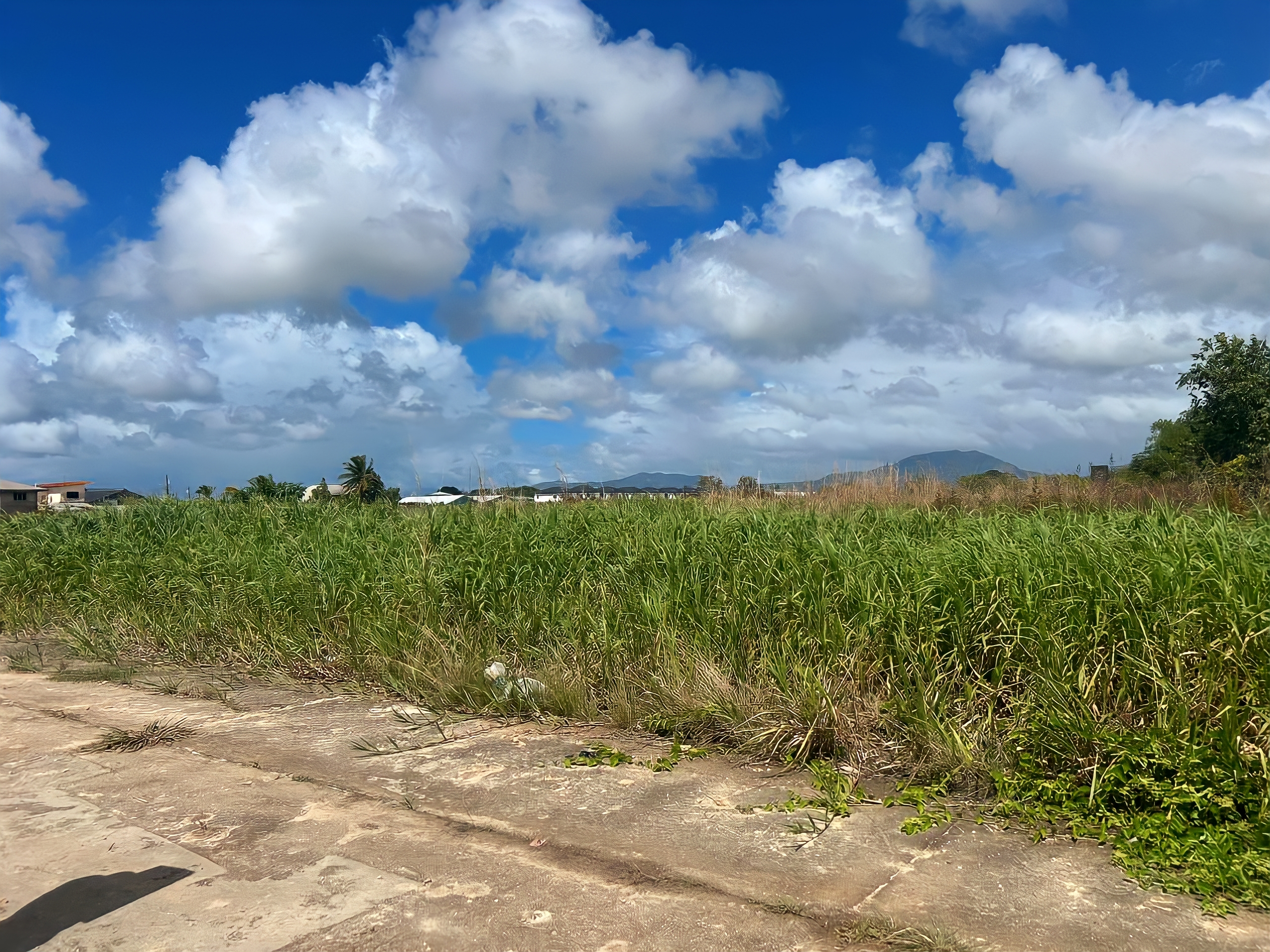 Land For Sale, Munroe Road, Charlieville 2