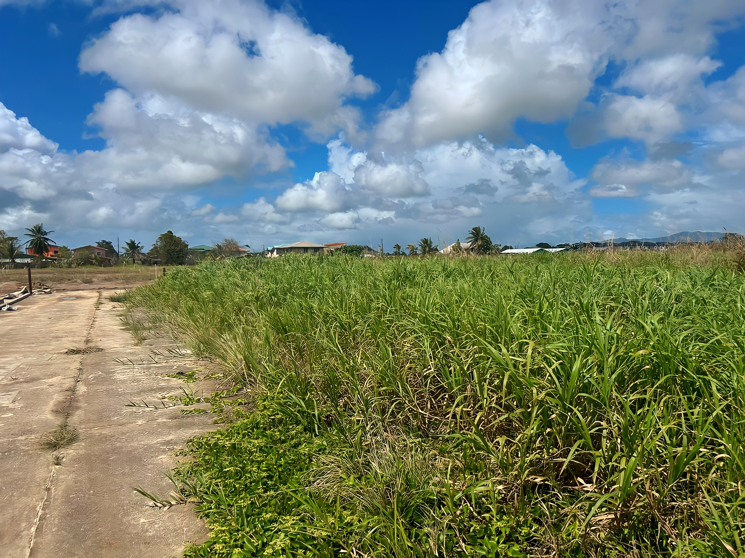 Land For Sale, Munroe Road, Charlieville 3