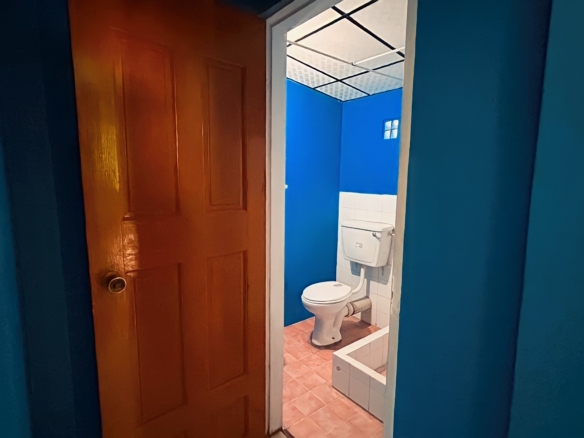 584