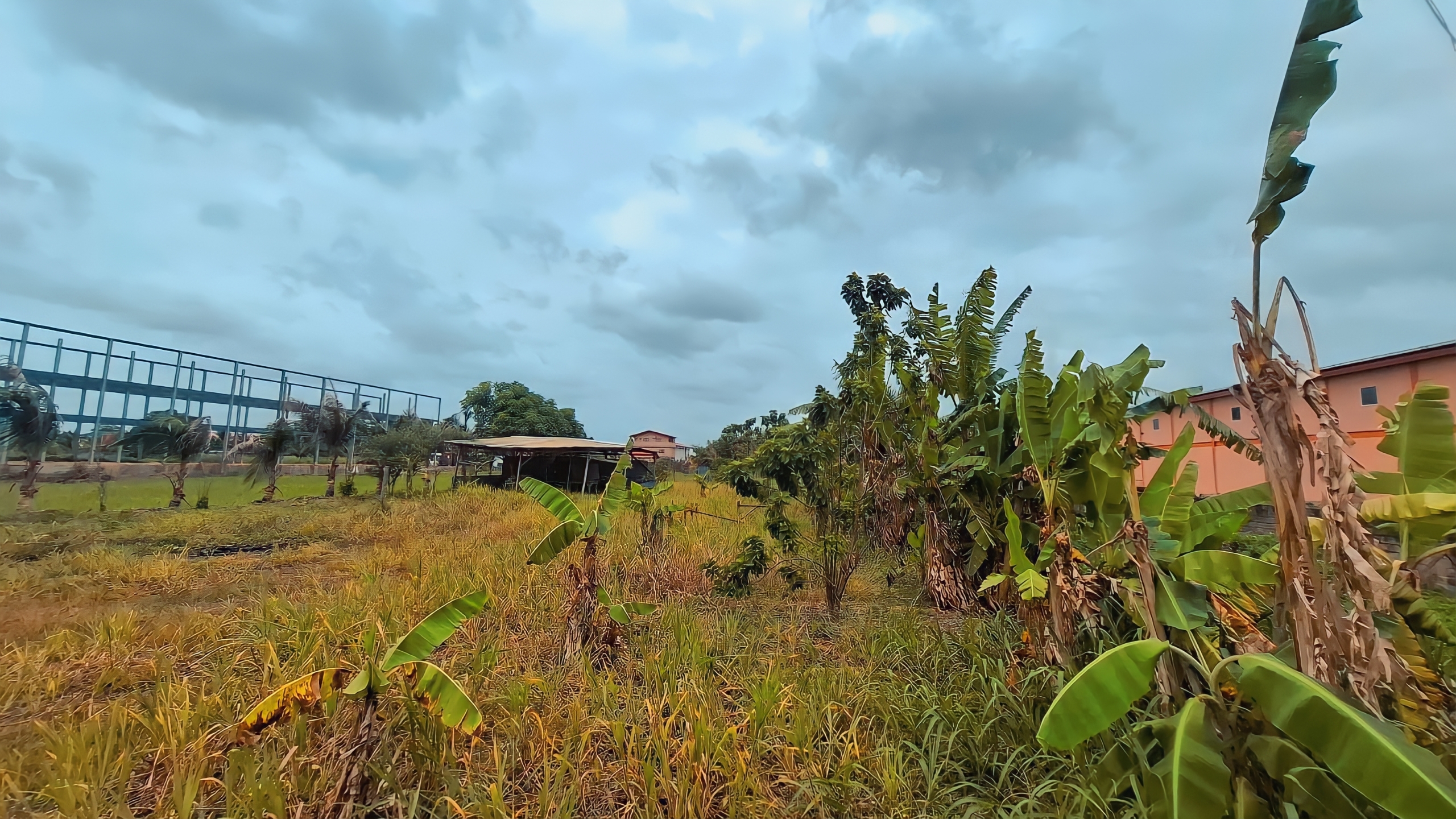 Land For Sale, Seuraj Trace Debe 10
