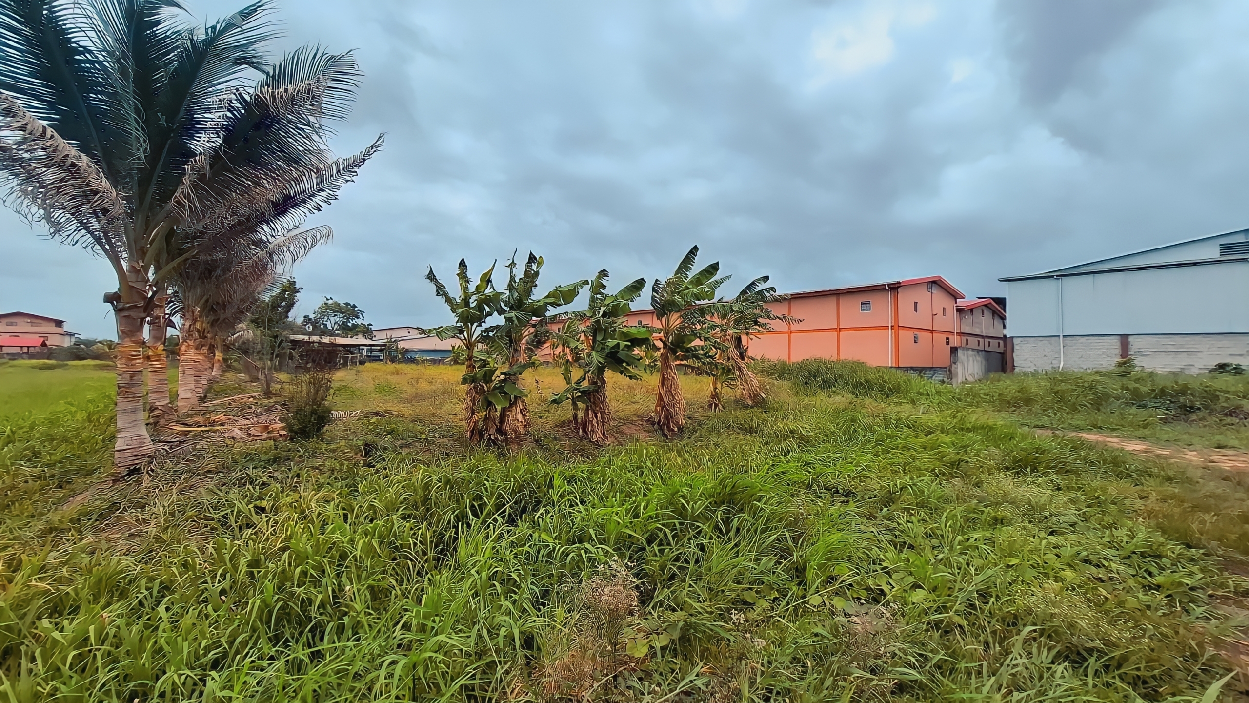 Land For Sale, Seuraj Trace Debe 3