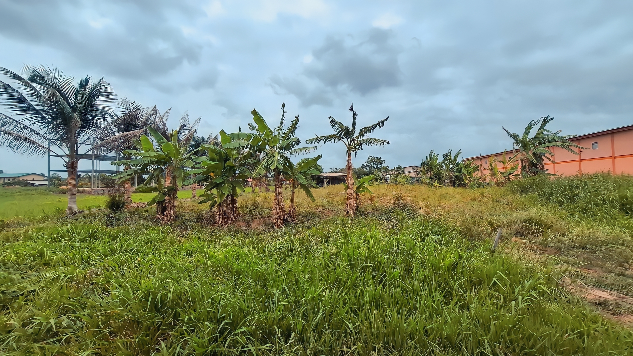 Land For Sale, Seuraj Trace Debe 4