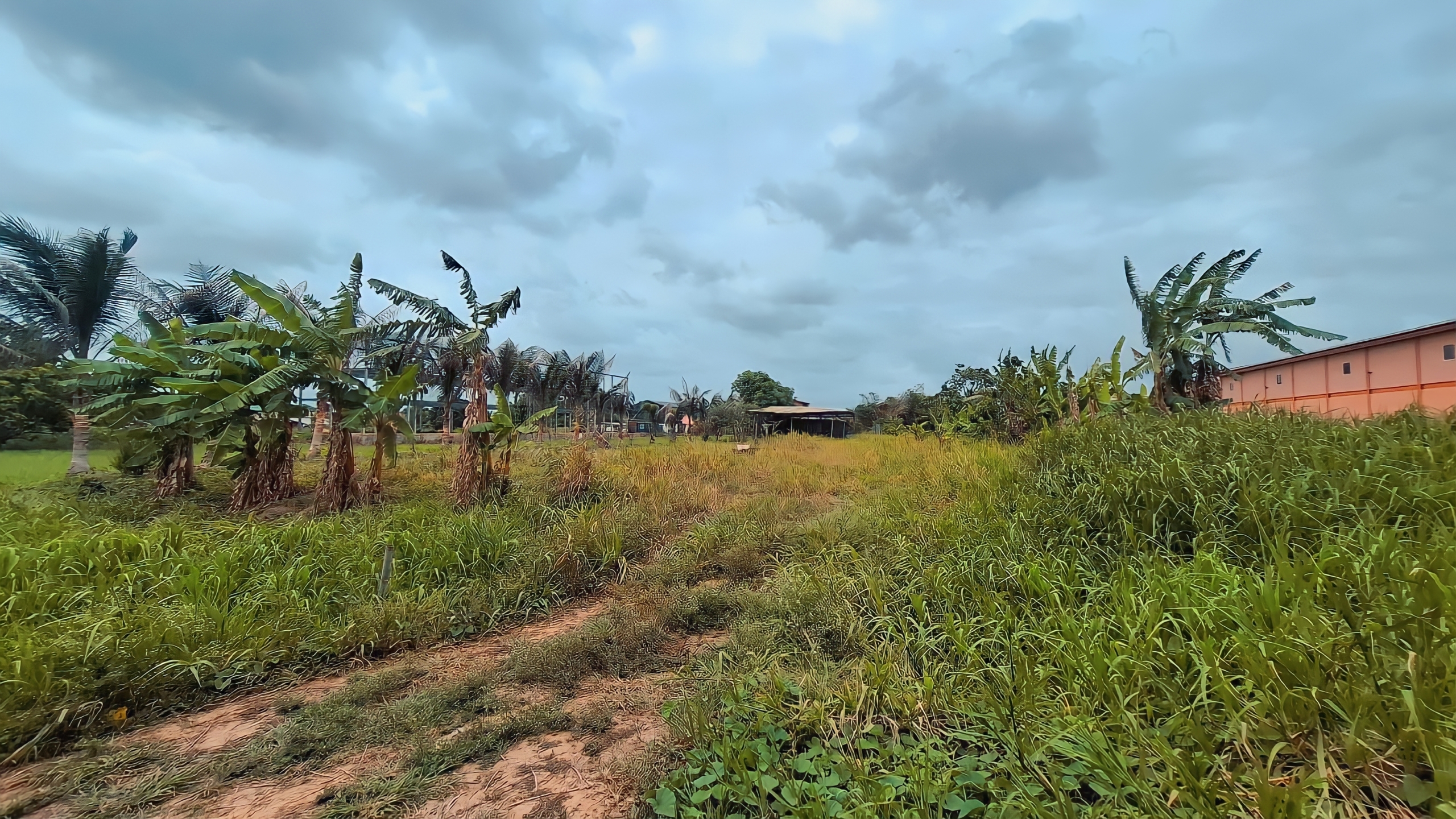 Land For Sale, Seuraj Trace Debe 5