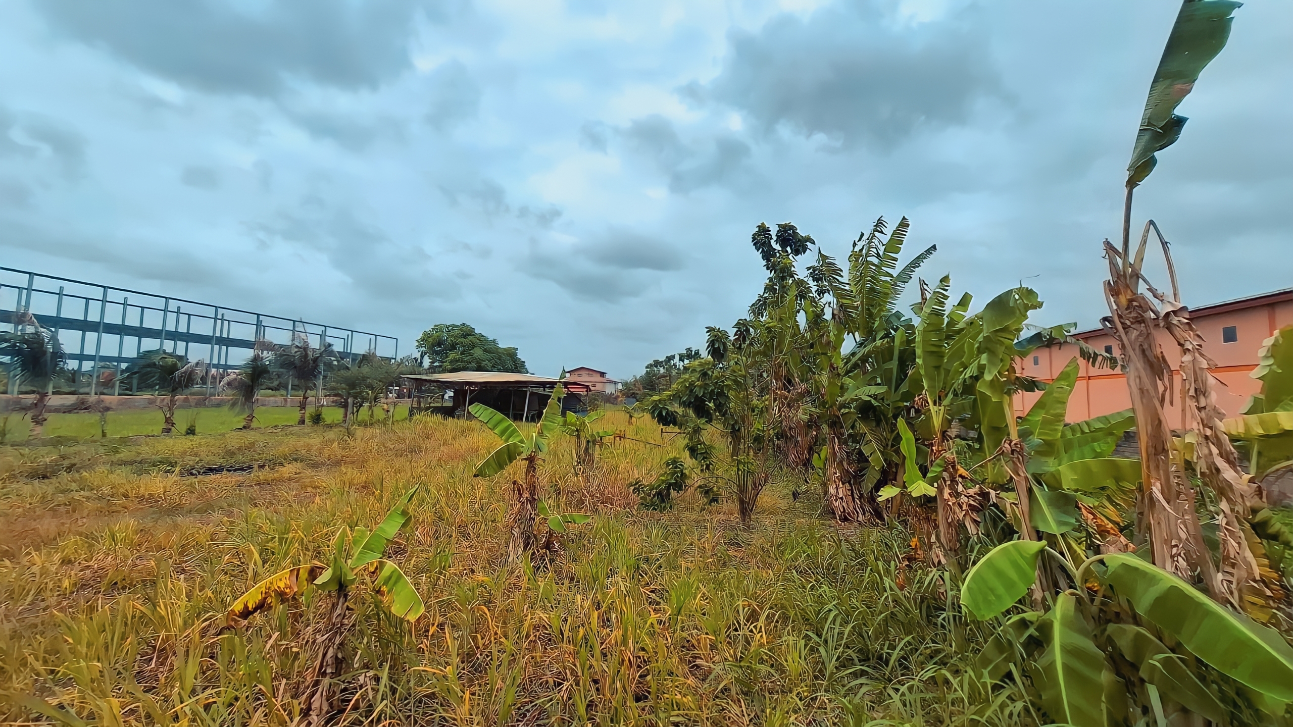 Land For Sale, Seuraj Trace Debe 8