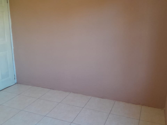 584