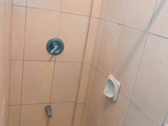584