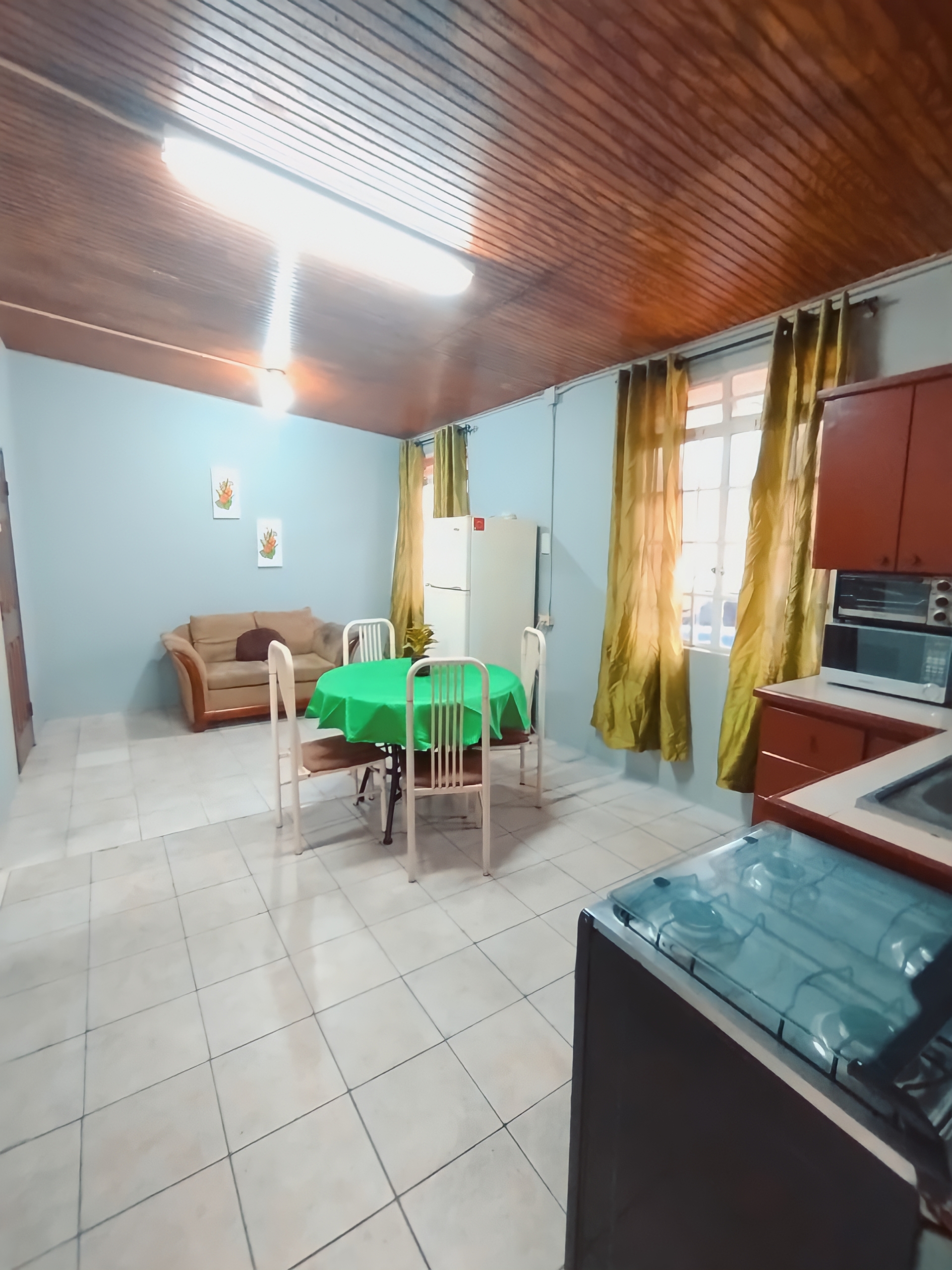 1 Bedroom Apartment, St. Augustine, South 3